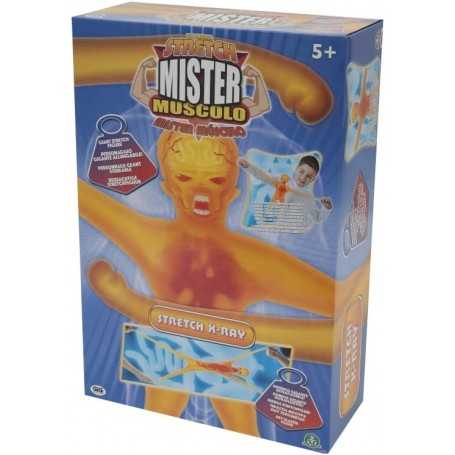 Mister muscolo sale